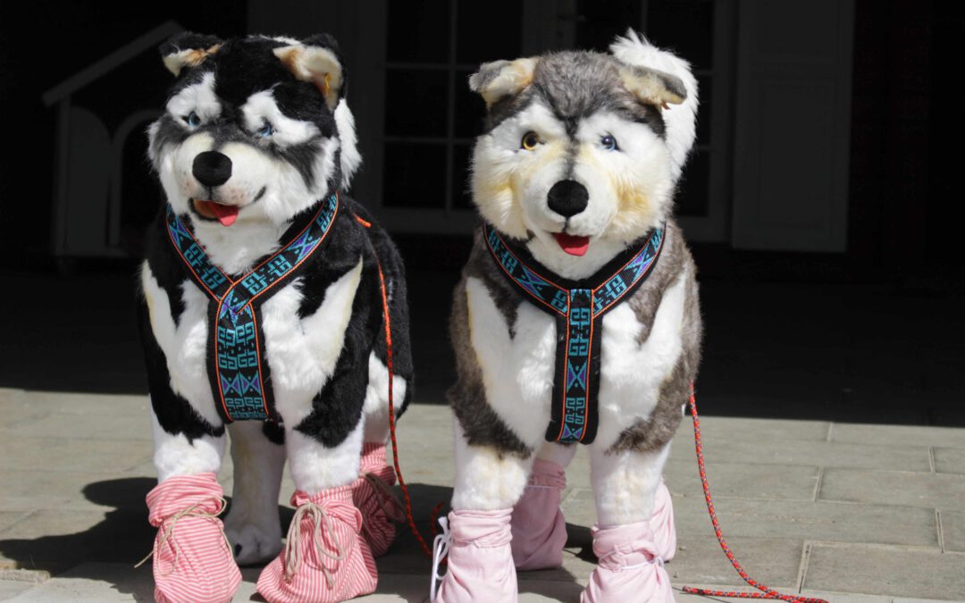 Ganz andere Huskys in unserer Station – Herzlichen Dank!