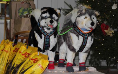 Weihnachtsmarkt 2026
