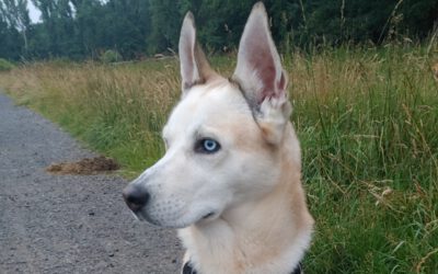 Milo