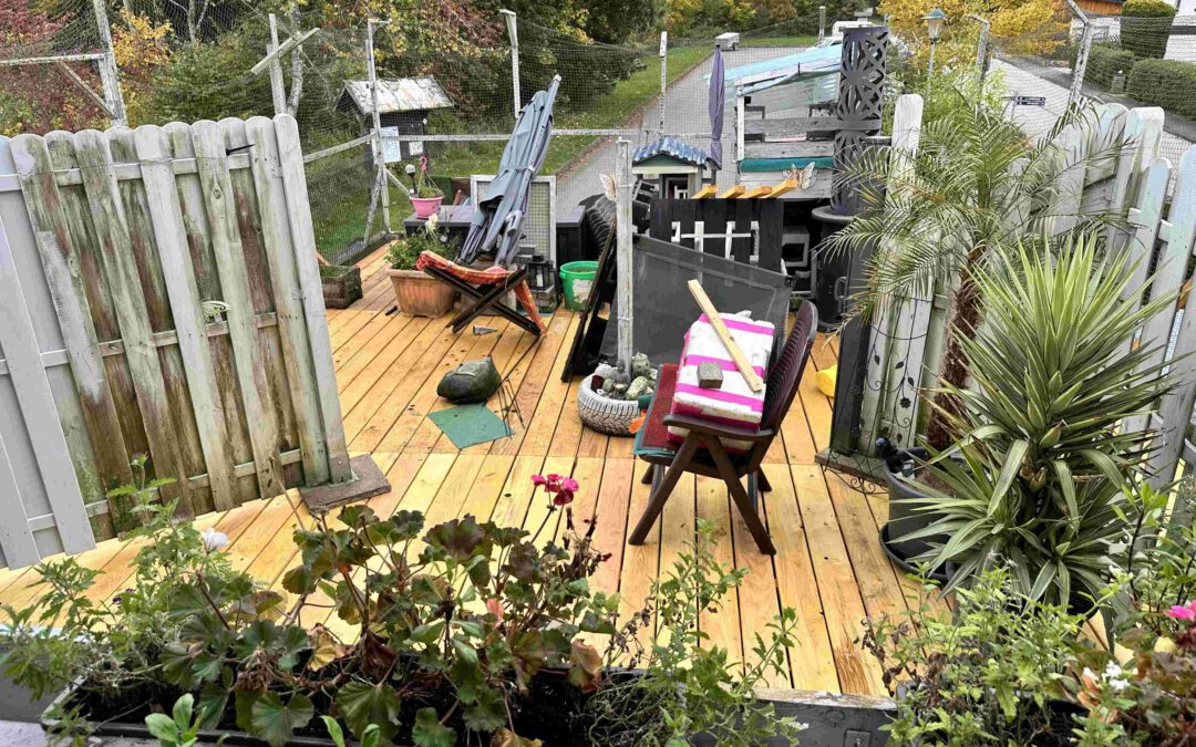 Ein kleines Paradies für meine Pflegekatzen