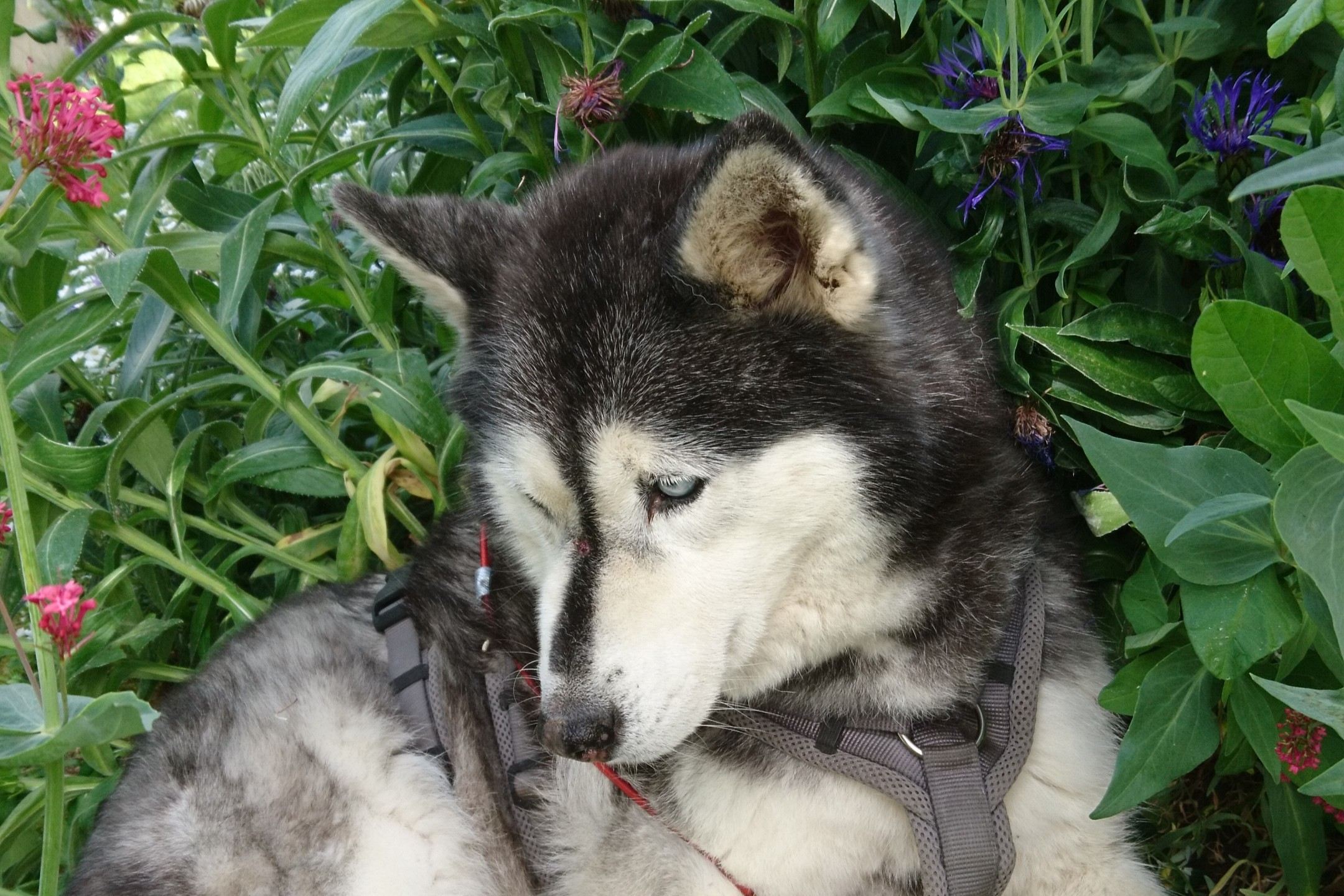 m_Chara_Beitragsbild