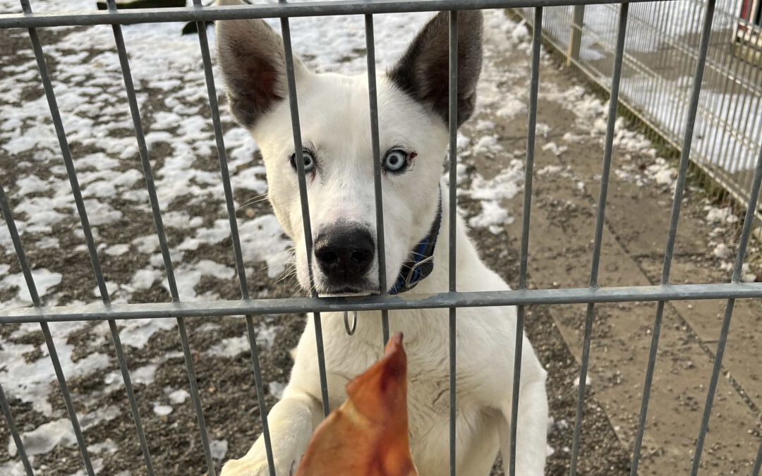 Wieder eine schöne Bescherung!