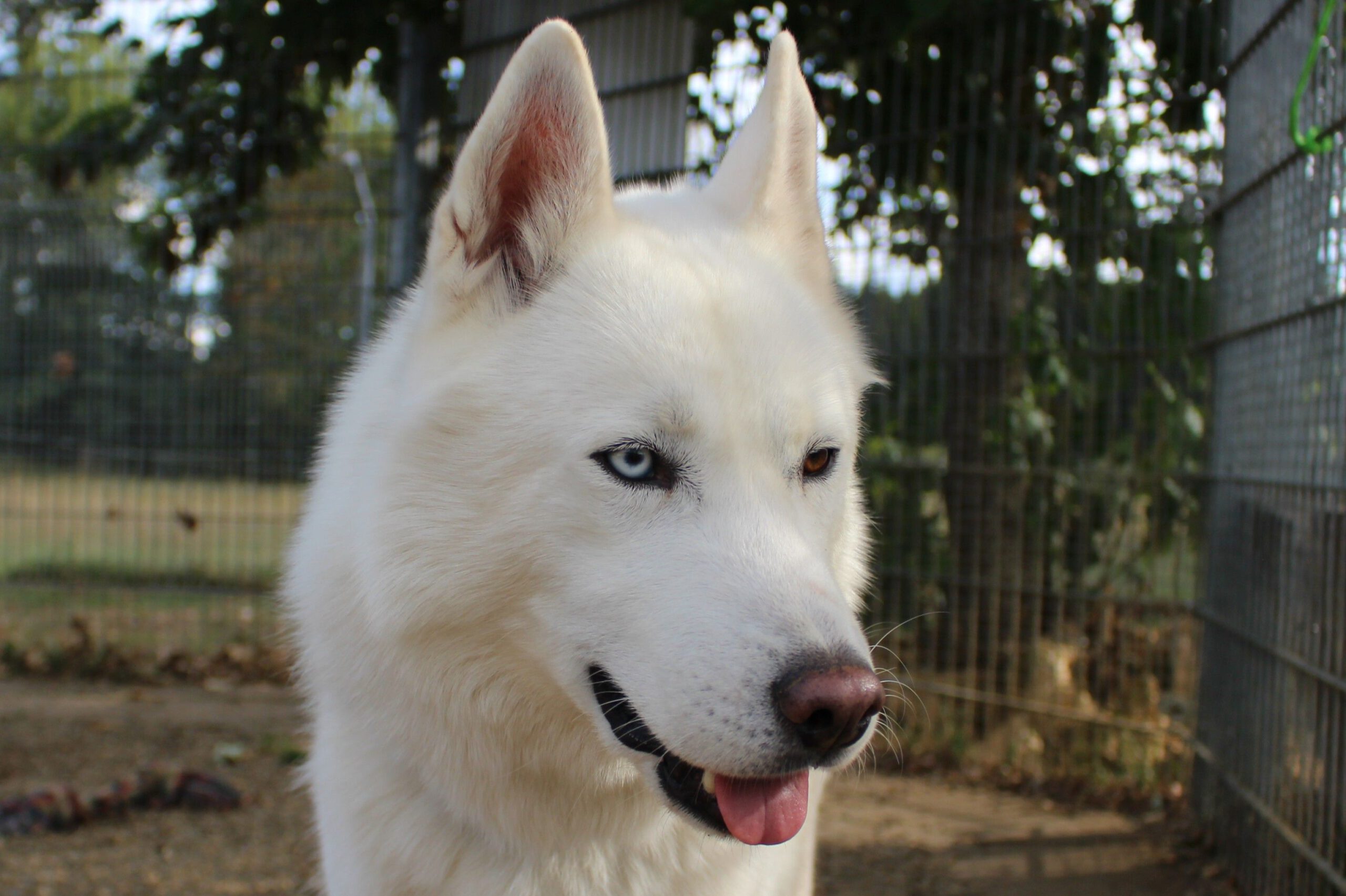 m_Max_Portrait
