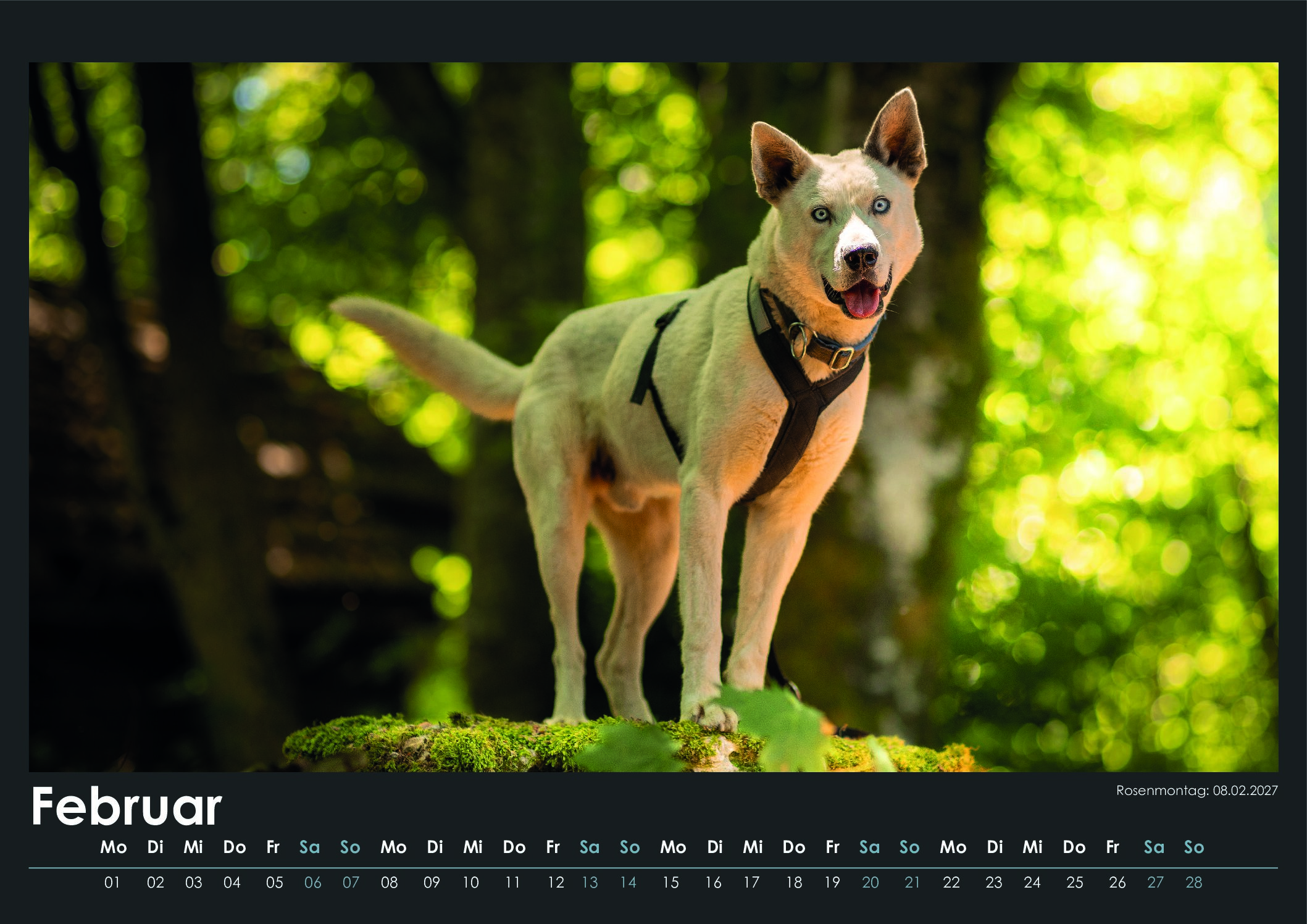 3_PDFsam_Wandkalender_2027_Druck