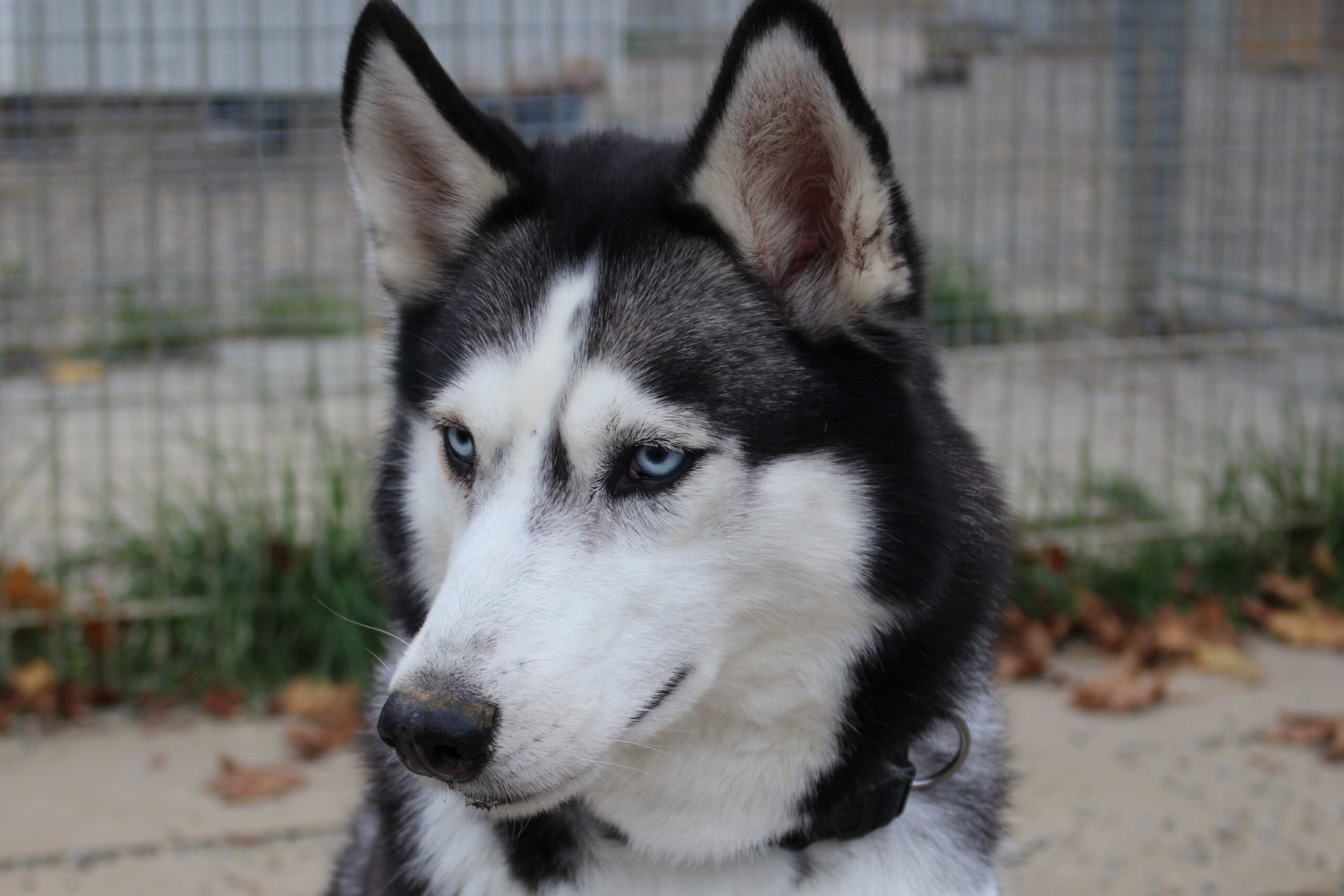 m_Emma_Portrait
